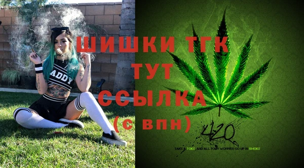 хмурый Балабаново