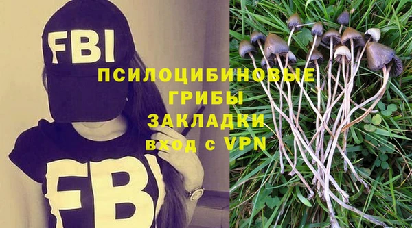 синтетический гашиш Белокуриха
